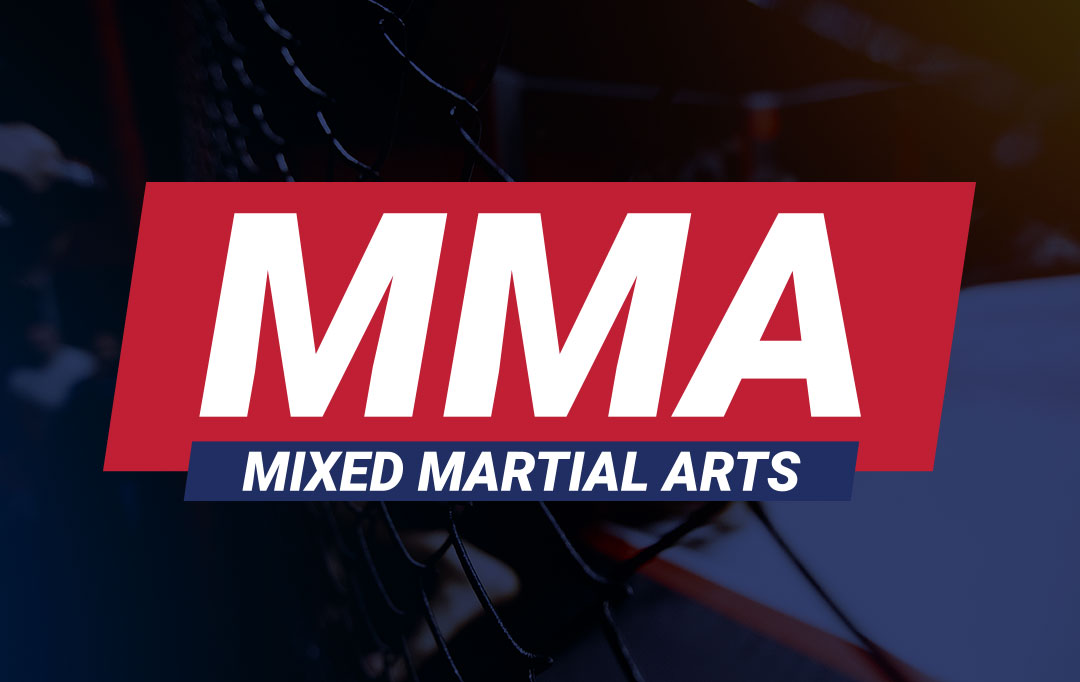 MMA mixed martial arts generic graphic image 