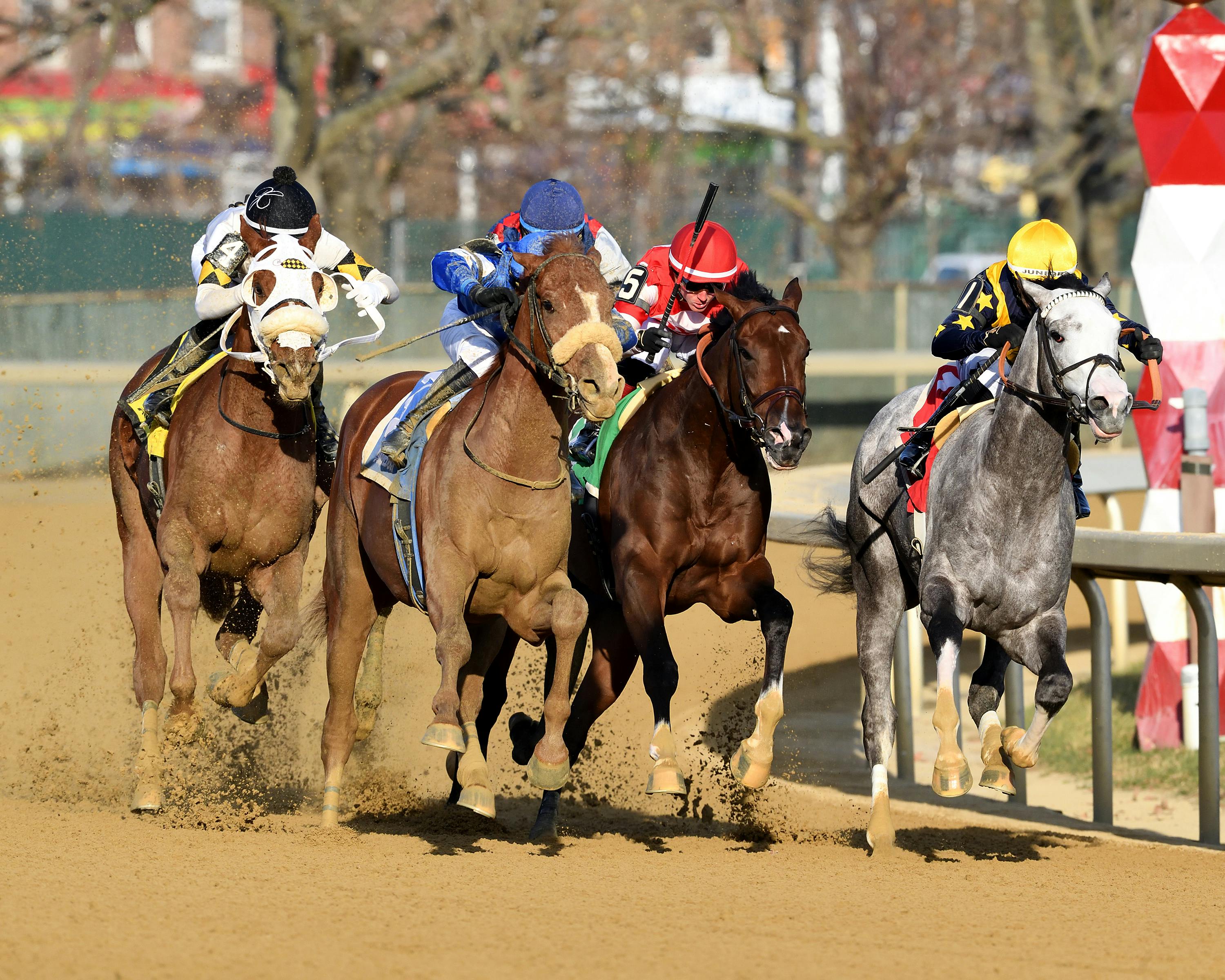 Poster wins the Remsen Stakes at Aqueduct as he leads on the other horses. 