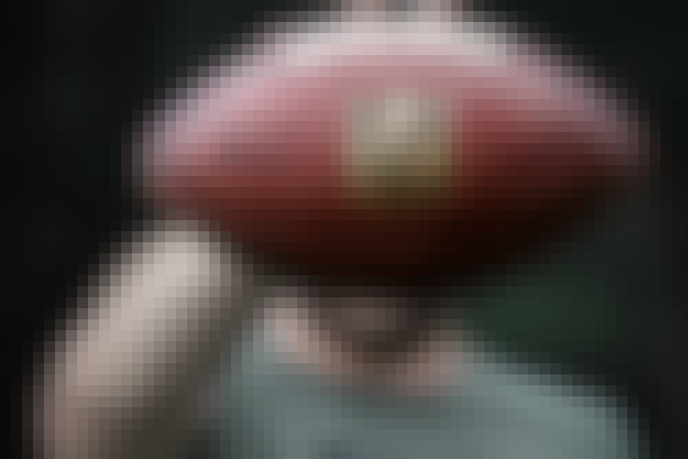 Nfl branded football.