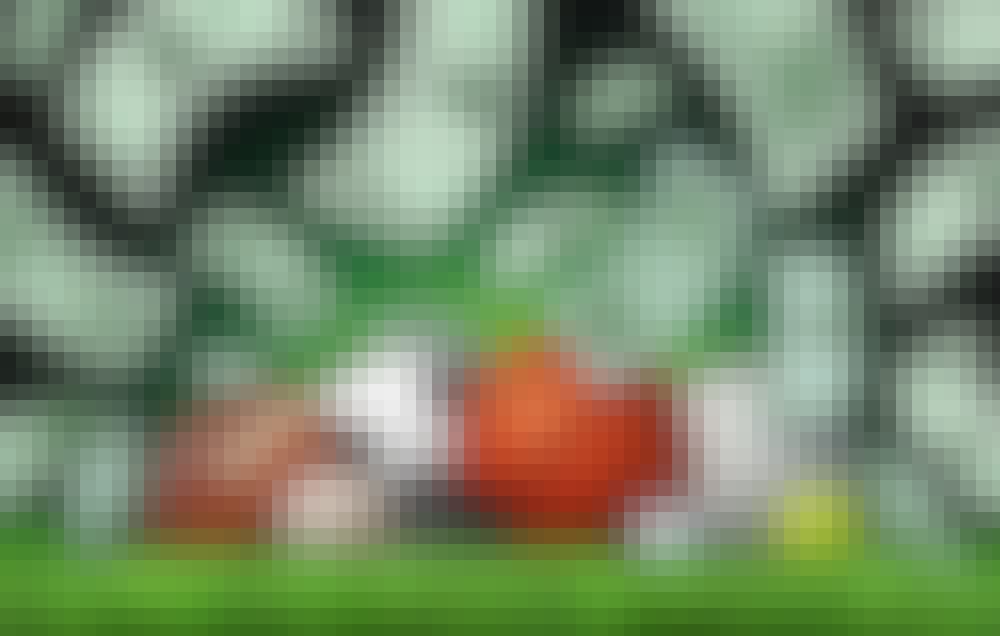 Football, baseball, soccer ball, basketball, volleyball, hockey puck, golf ball, and tennis ball on green raining money.