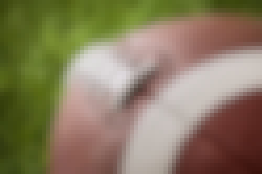 Close up of football threads.
