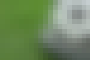 Soccer on top of money for soccer betting in a soccer field.